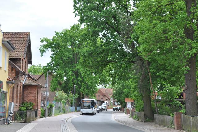 Im Detail - Hänigsen im Burgdorfer Land - ein Bericht von OKOK TELEVISION