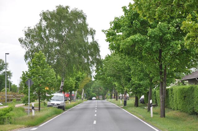 Im Detail - Hänigsen im Burgdorfer Land - ein Bericht von OKOK TELEVISION