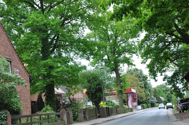 Im Detail - Hänigsen im Burgdorfer Land - ein Bericht von OKOK TELEVISION