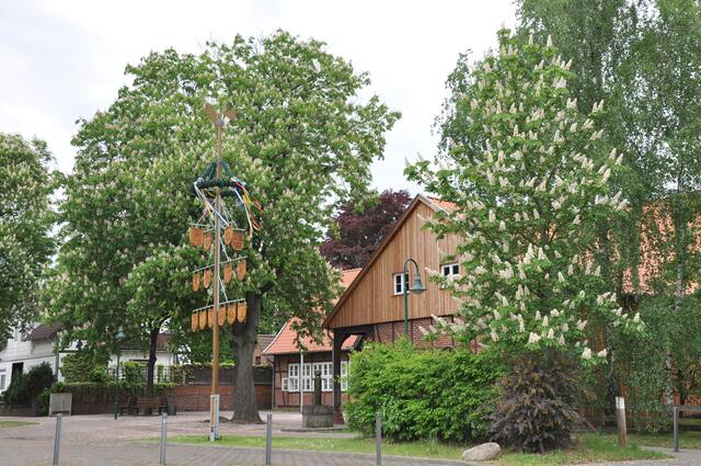 Im Detail - Hänigsen im Burgdorfer Land - ein Bericht von OKOK TELEVISION