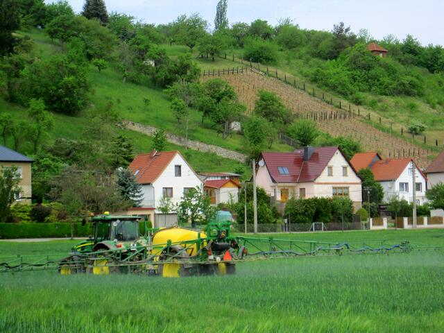 An der Weinstraße bei Roßbach