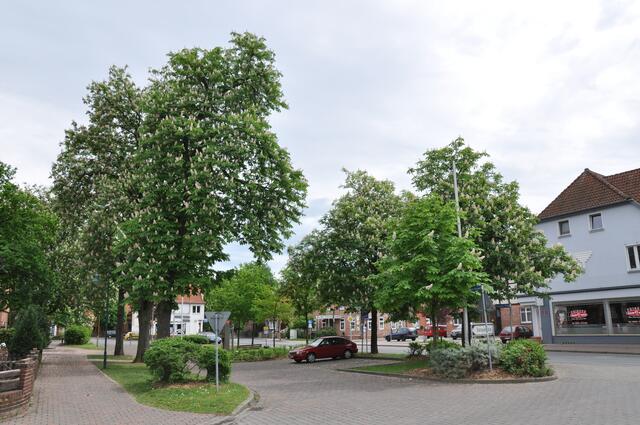 Im Detail - Hänigsen im Burgdorfer Land - ein Bericht von OKOK TELEVISION
