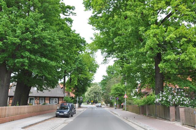 Im Detail - Hänigsen im Burgdorfer Land - ein Bericht von OKOK TELEVISION
