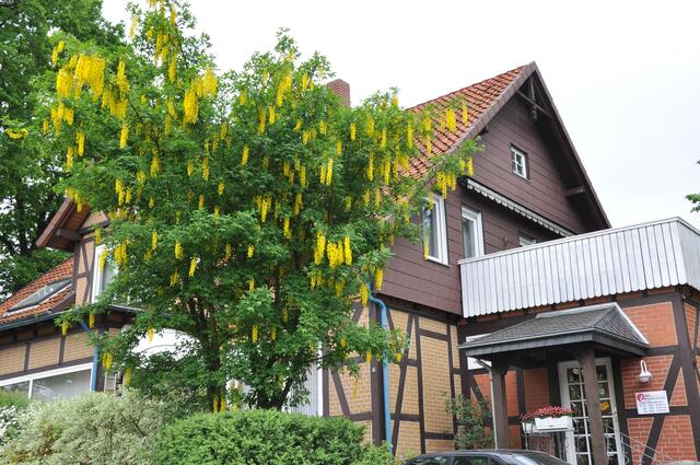 Im Detail - Hänigsen im Burgdorfer Land - ein Bericht von OKOK TELEVISION