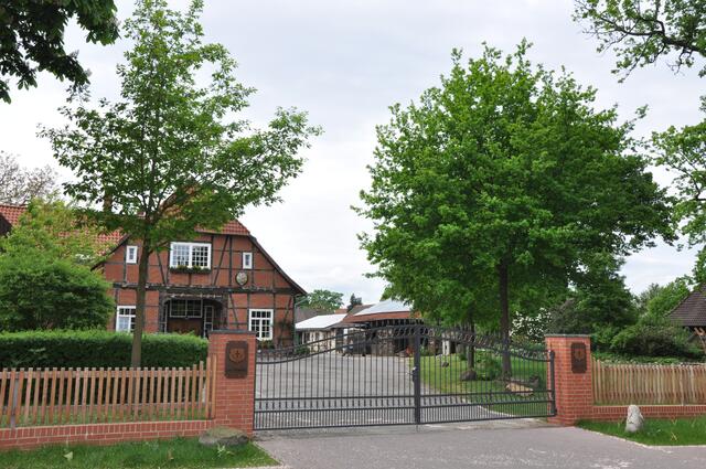 Im Detail - Hänigsen im Burgdorfer Land - ein Bericht von OKOK TELEVISION