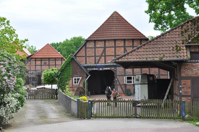 Im Detail - Hänigsen im Burgdorfer Land - ein Bericht von OKOK TELEVISION