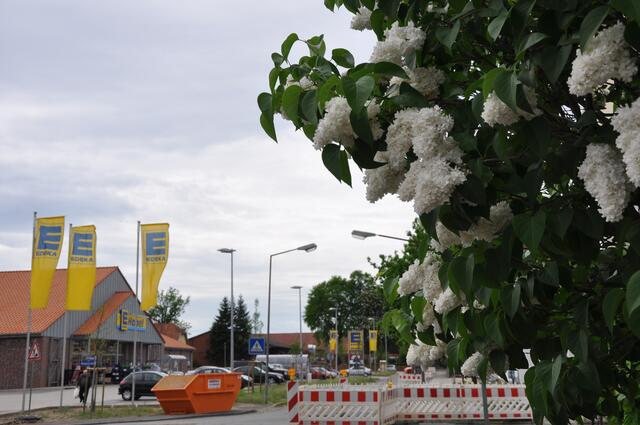 Im Detail - Hänigsen im Burgdorfer Land - ein Bericht von OKOK TELEVISION