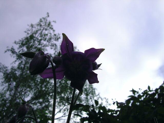 Mal ne andere Sichtweise
