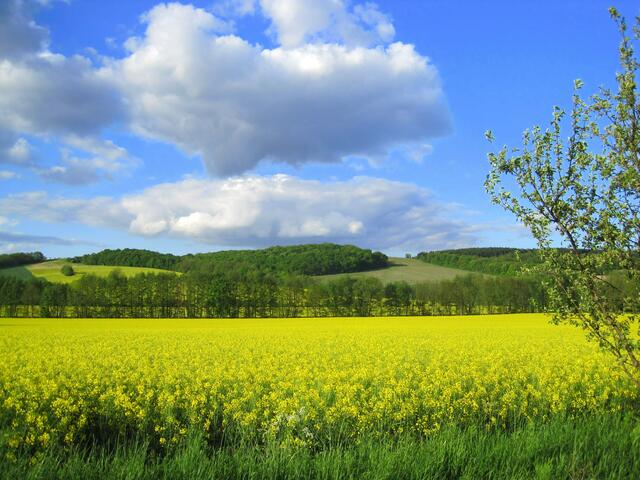 Impressionen vom Hasselbachtal.