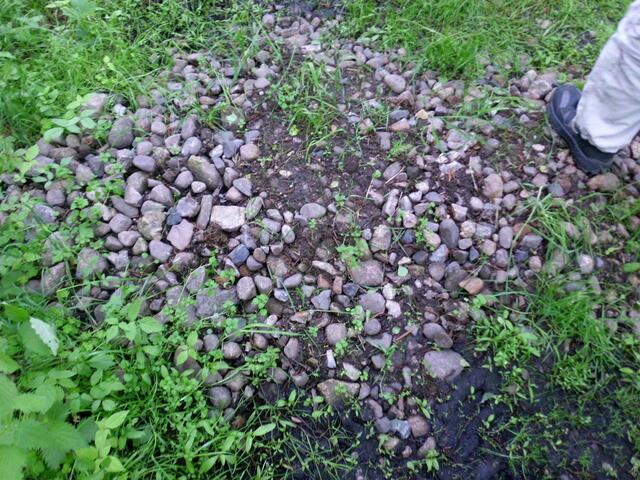 Bei der Kartoffelernte fallen viele kleine Steine an, die für den Wegebau genutzt werden