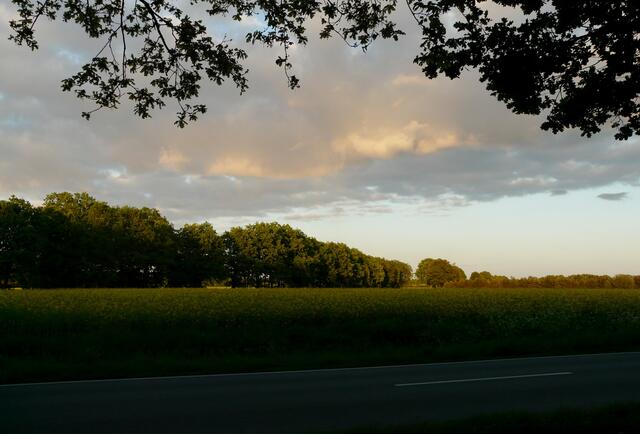Abend an der Landstraße.