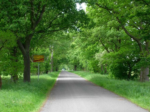 Die Straße von Wackerwinkel nach Dedenhausen