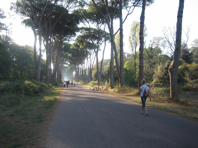 Pisa, auf dem Weg zum Mittelmeer