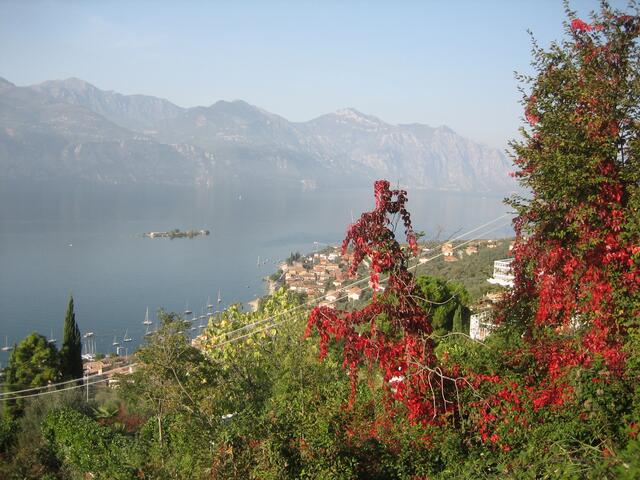 Herbst am Gardasee