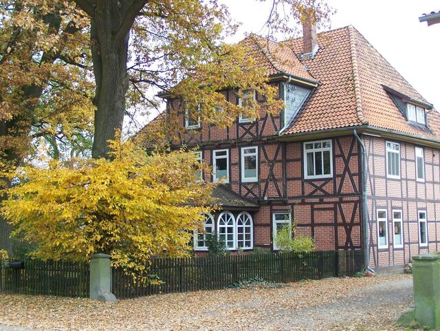 Im Detail - Wackerwinkel im Burgdorfer Land - ein Bericht von OKOK TELEVISION