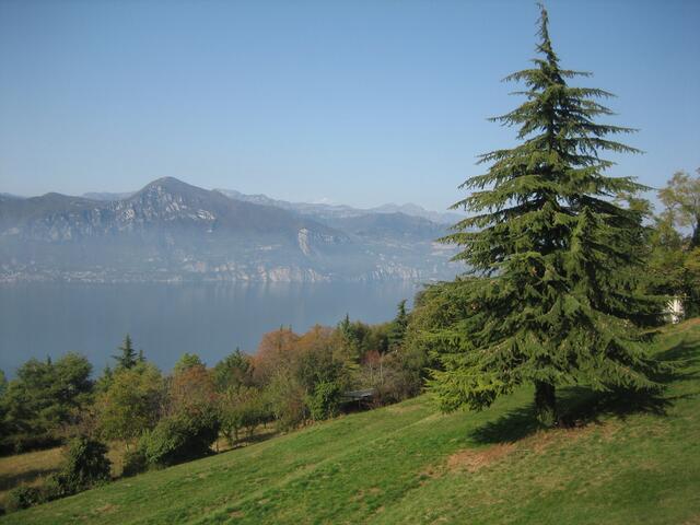 Gardasee