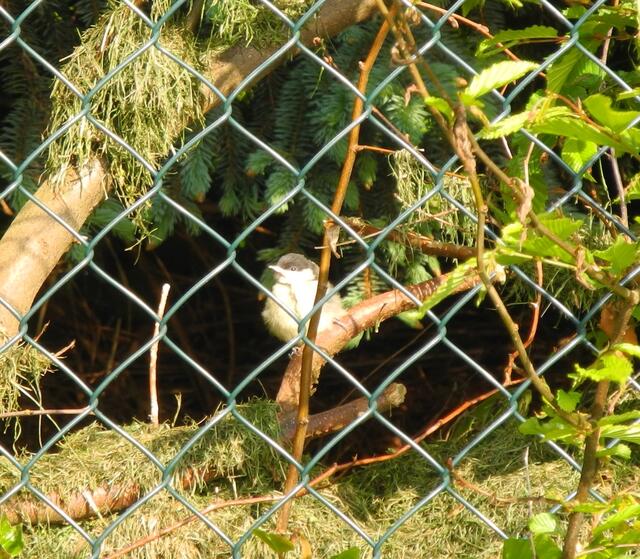 Und ich............?