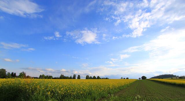 Was für ein Himmelfahrtswetter!