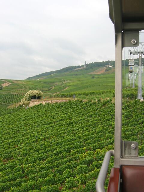 Blick zum Denkmal über den Weinbergen