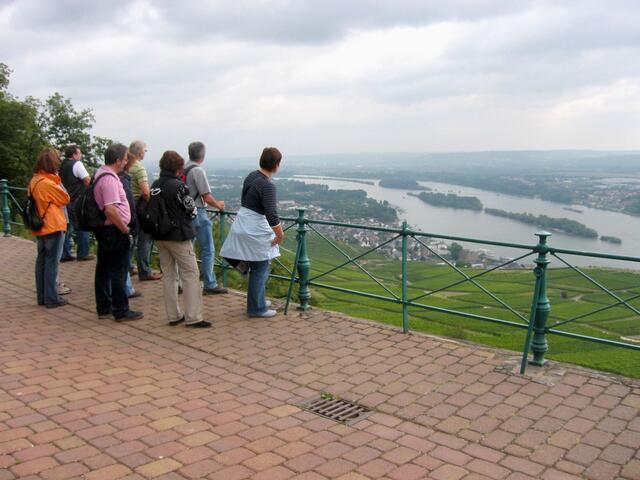 Blick von der Denkmalsterasse auf Rüdesheim