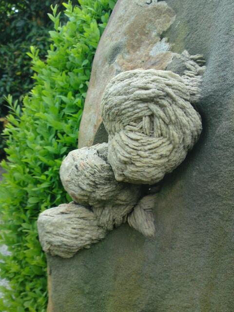 Sandrosen, wunderschön, gel?