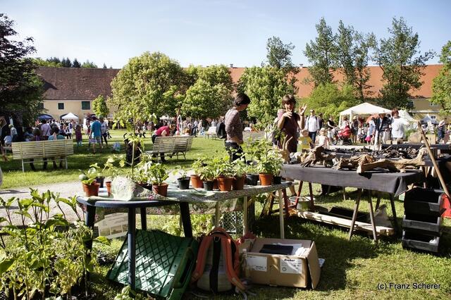 Elfenfestival 2012 auf Schloss Blumenthal
