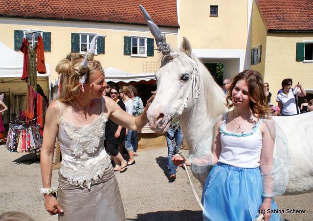 Elfenfestival 2012 auf Schloss Blumenthal