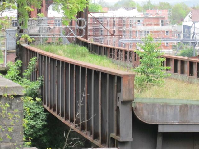 Mit Unkraut zugewachsen