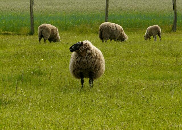 ...und behalte alles im Auge.