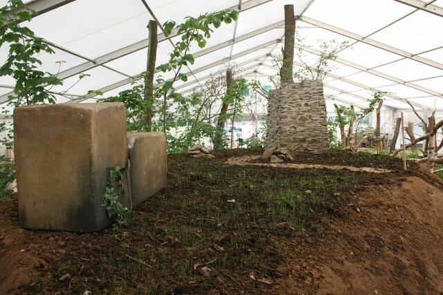 Vor dem Karlsmuntturm grünt es.