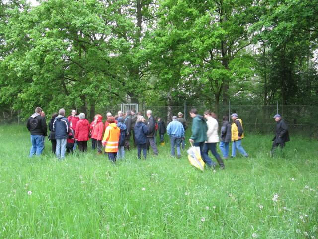 Die Wiese neben dem Gelände. Alleine dort konnten wir viele seltene andere Tierarten ausmachen.