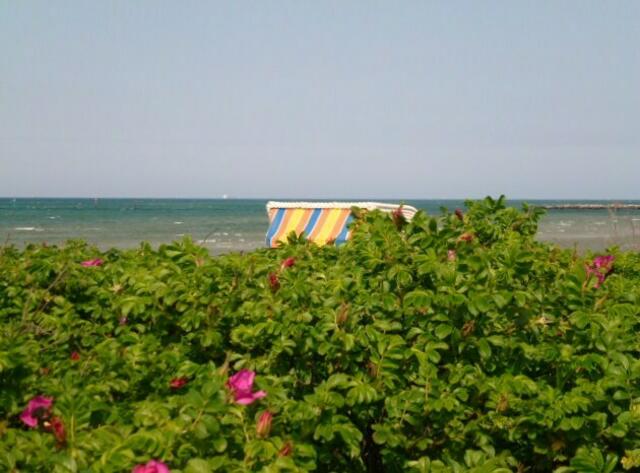 Strandträume in Stein