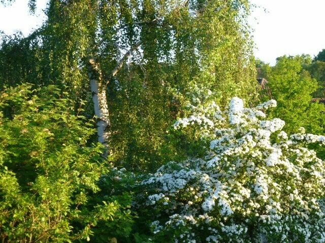 Garten-Idyll