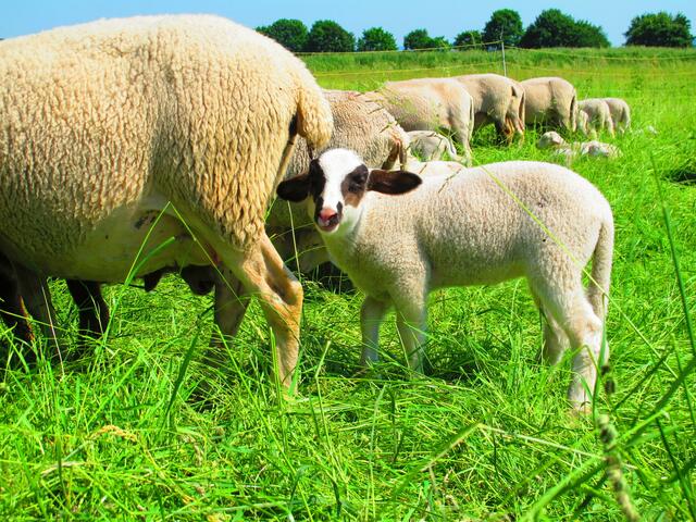 keinen Schritt von Mamas Seite weichen