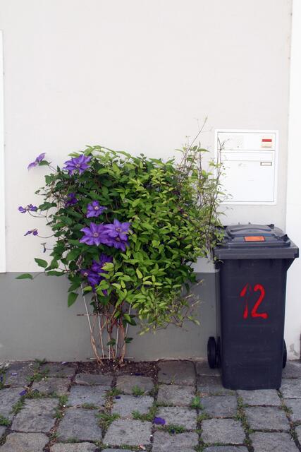 Noch selten habe ich so schöne Müllplätze gesehen.