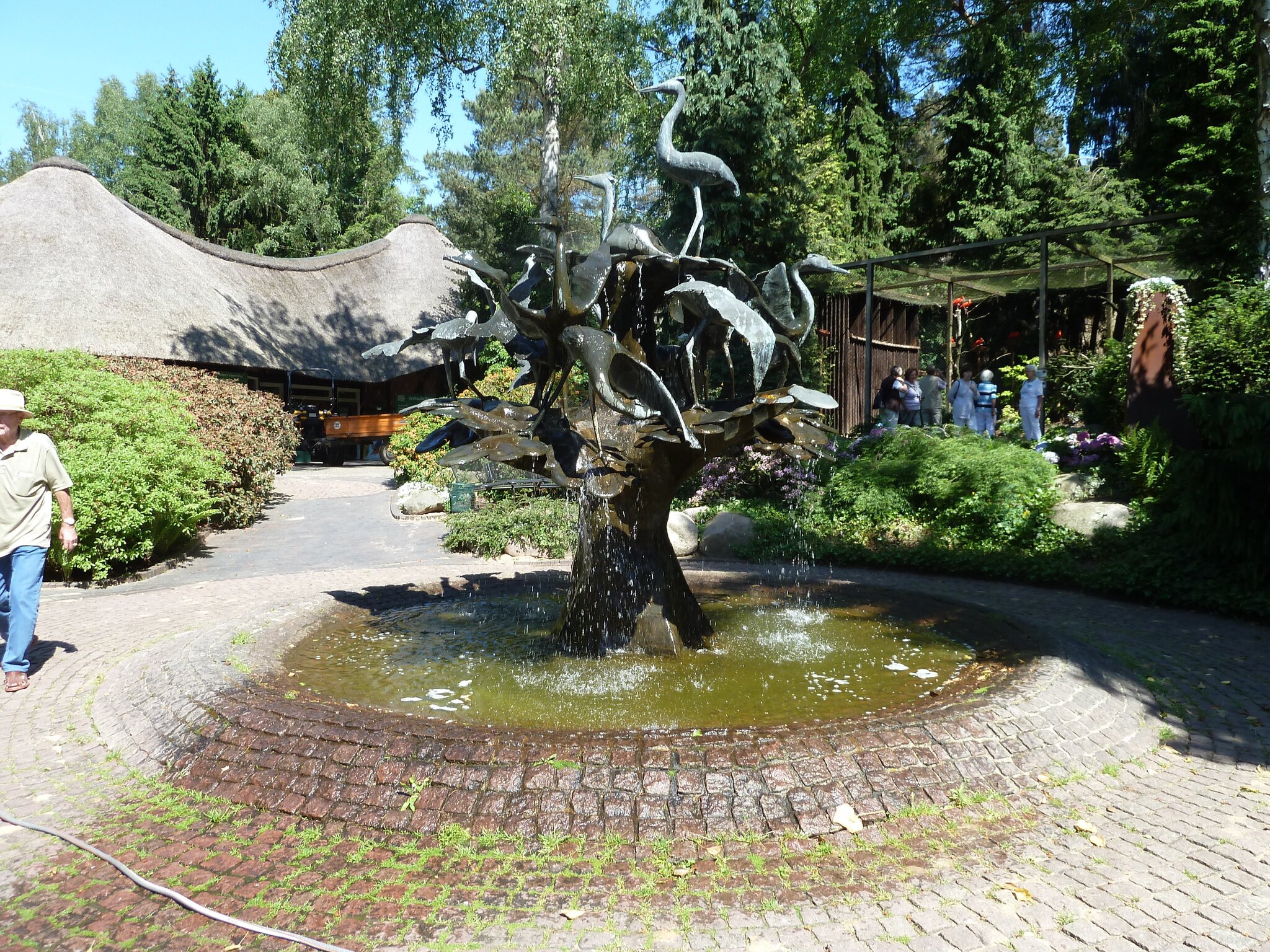 Ausflugsziele Wer etwas schnes sehen will,geht jetzt in den Vogel Park  Walsrode. Teil 1 - Walsrode