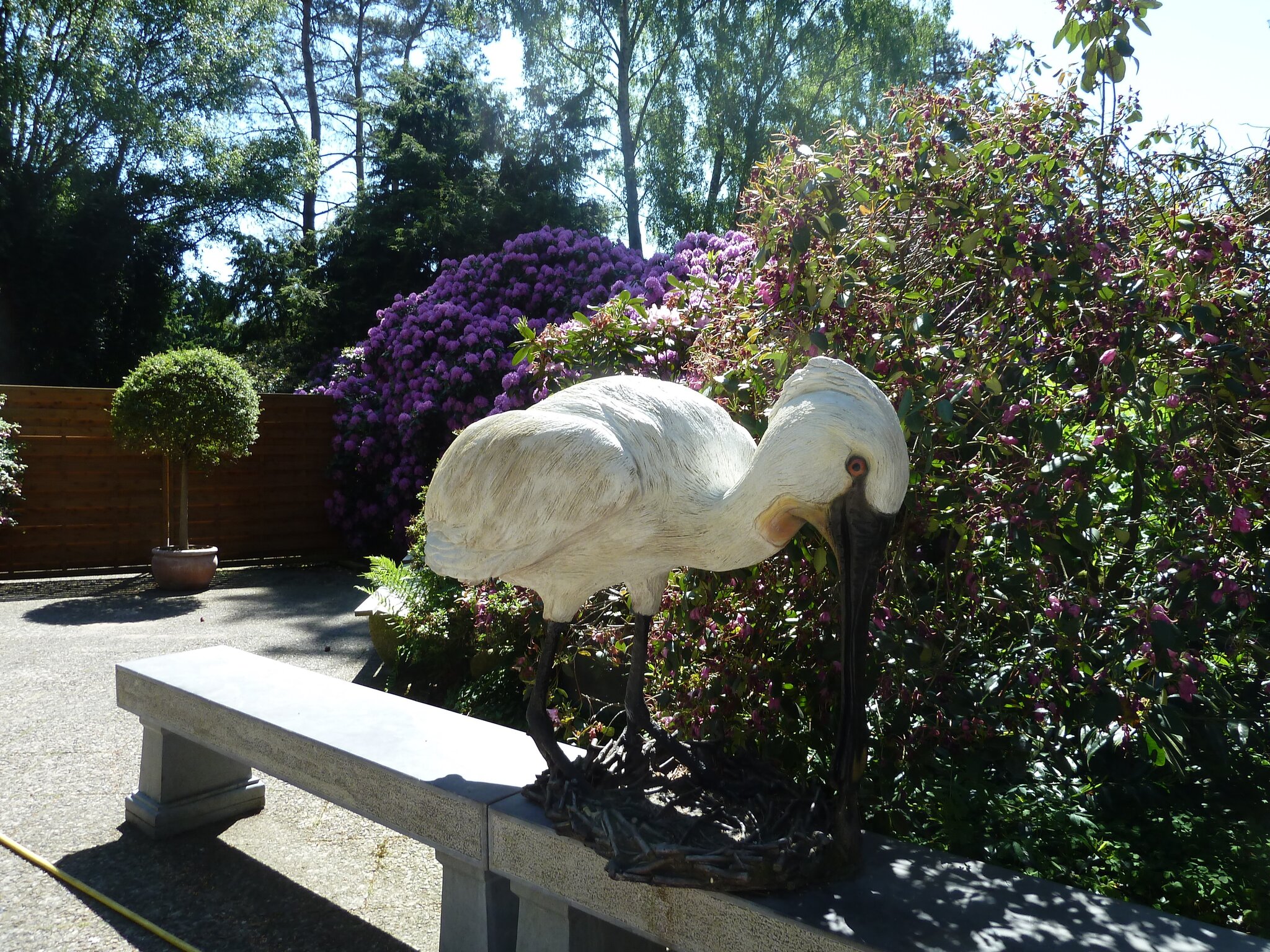 Ausflugsziele Wer etwas schnes sehen will,geht jetzt in den Vogel Park  Walsrode. Teil 1 - Walsrode