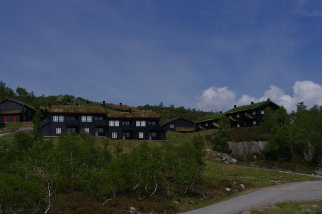 Grasbewachsene Hausdächer