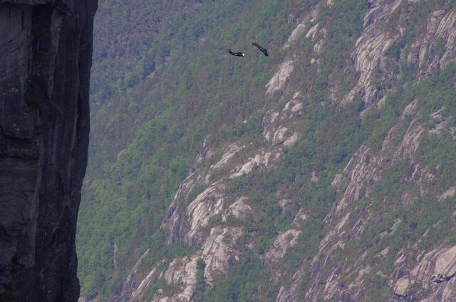 Zwei Menschen im Sturzflug!