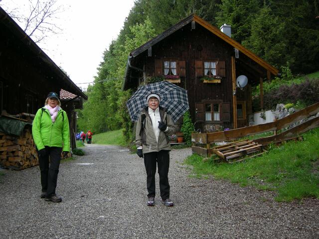 auf der Romanshöhe, 1000m hoch gelegen, dem höchsten Punkt des Altherrenwegs zwischen Ober- und Unterammergau. Maria Weber hat die Stöcke mit dem Schirm getauscht. | Foto: Dietmar Weber