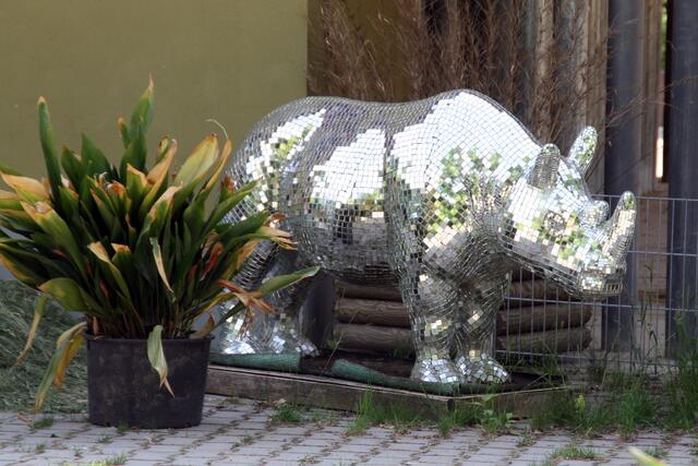 Es muss einfach mal gesagt werden. Dem Zoo geht es nicht so gut. Ein Nashorn musste schon versilbert werden.