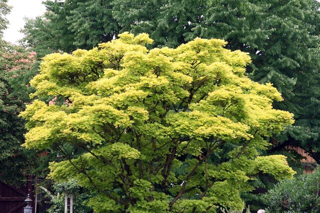 So, und nun noch ein paar beruhigende Bilder vom botanischen Garten zum Ausklang.