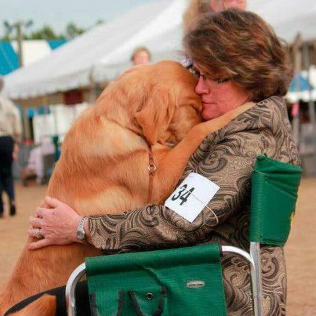 Foto: LIfe with dogs