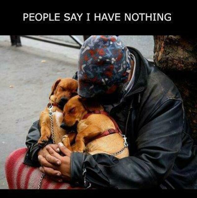 so viel Liebe .......... | Foto: life with dogs