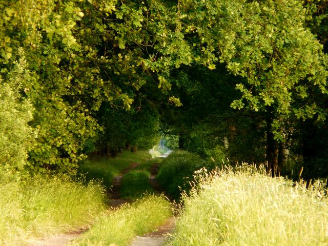 Durchgang ins "Unbekannte". Auch bekannte Wege bergen immer wieder viele Überraschungen.