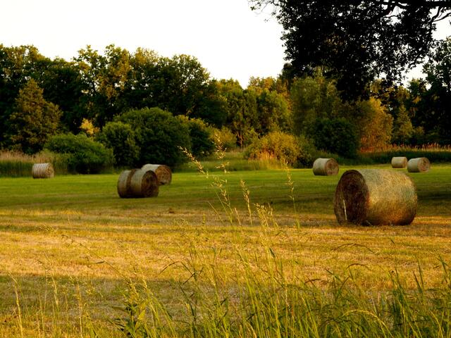 Die Landschaft wechselt ständig ihr Gesicht.
