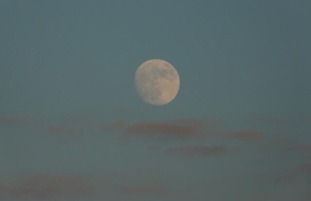 Der Mond steht klar am Himmel.
