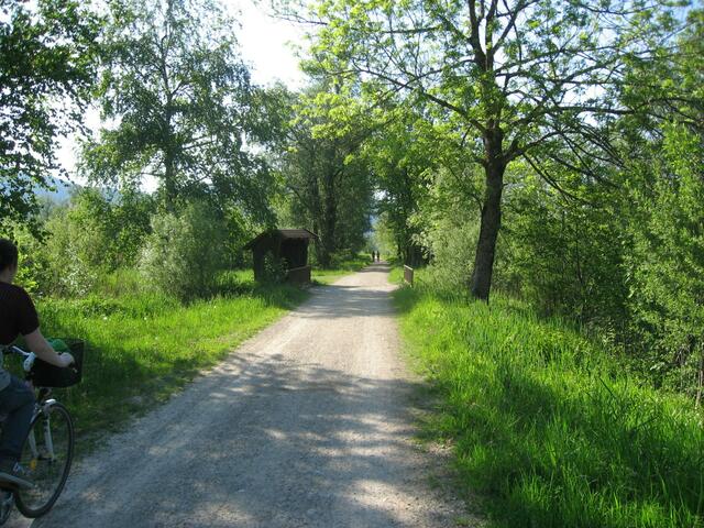 Von dort Hinten sind wir gekommen...Nicht zu sehen: An der rechten Wegböschung die Ammer. Sie begleitete uns auf dem ganzen Weg.