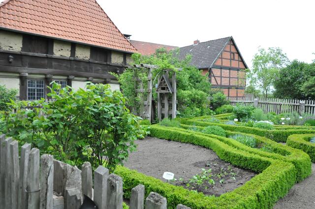 Im Detail - Wackerwinkel im Burgdorfer Land - ein Bericht von OKOK TELEVISION