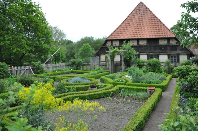 Im Detail - Wackerwinkel im Burgdorfer Land - ein Bericht von OKOK TELEVISION